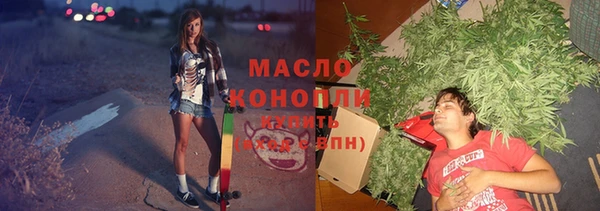 дмт Осташков