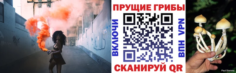 Псилоцибиновые грибы MAGIC MUSHROOMS  Пойковский 